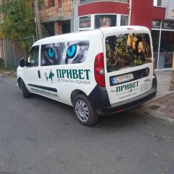 20171019_170225