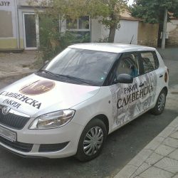 WP_000869